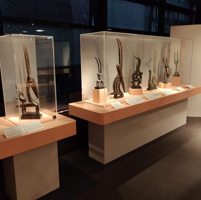 Vitrines d'exposition présentant des cornes sculptées et objets d'art africain sur socles
